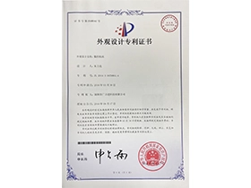 Patent 11