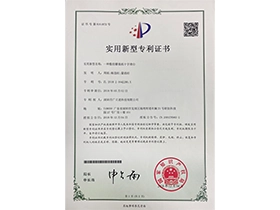 Patent 6