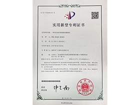 Patent 7